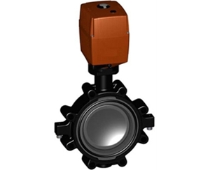 蝶閥、+GF+ 142型電動(dòng)蝶閥