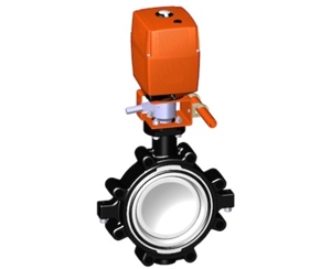 24V 美標(biāo)(ANSI) 帶手動(dòng)手柄，+GF+電動(dòng)蝶閥 蝶閥 進(jìn)口蝶閥